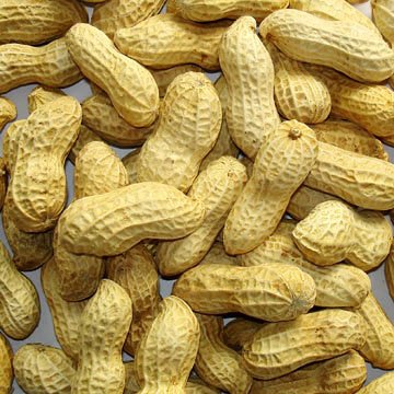 flavour roasted peanut in shell