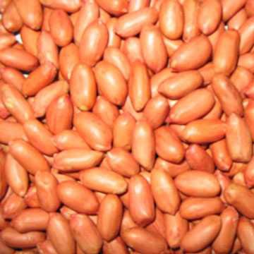 flavour roasted peanut in shell