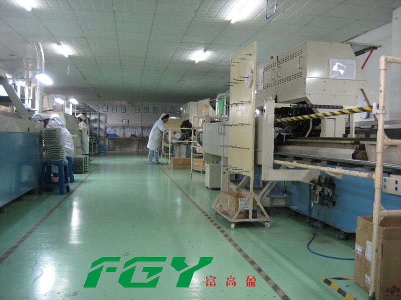 Factory Photo 2 ps
