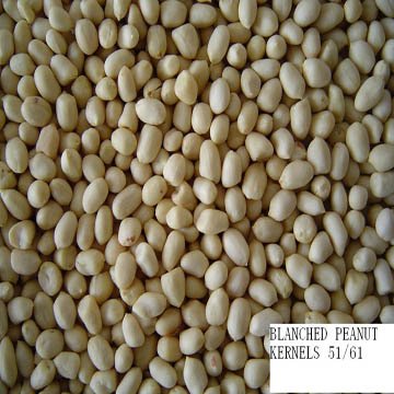 flavour roasted peanut in shell