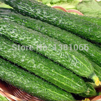 Free shipping Vegetables fruits and seeds skgs jad...